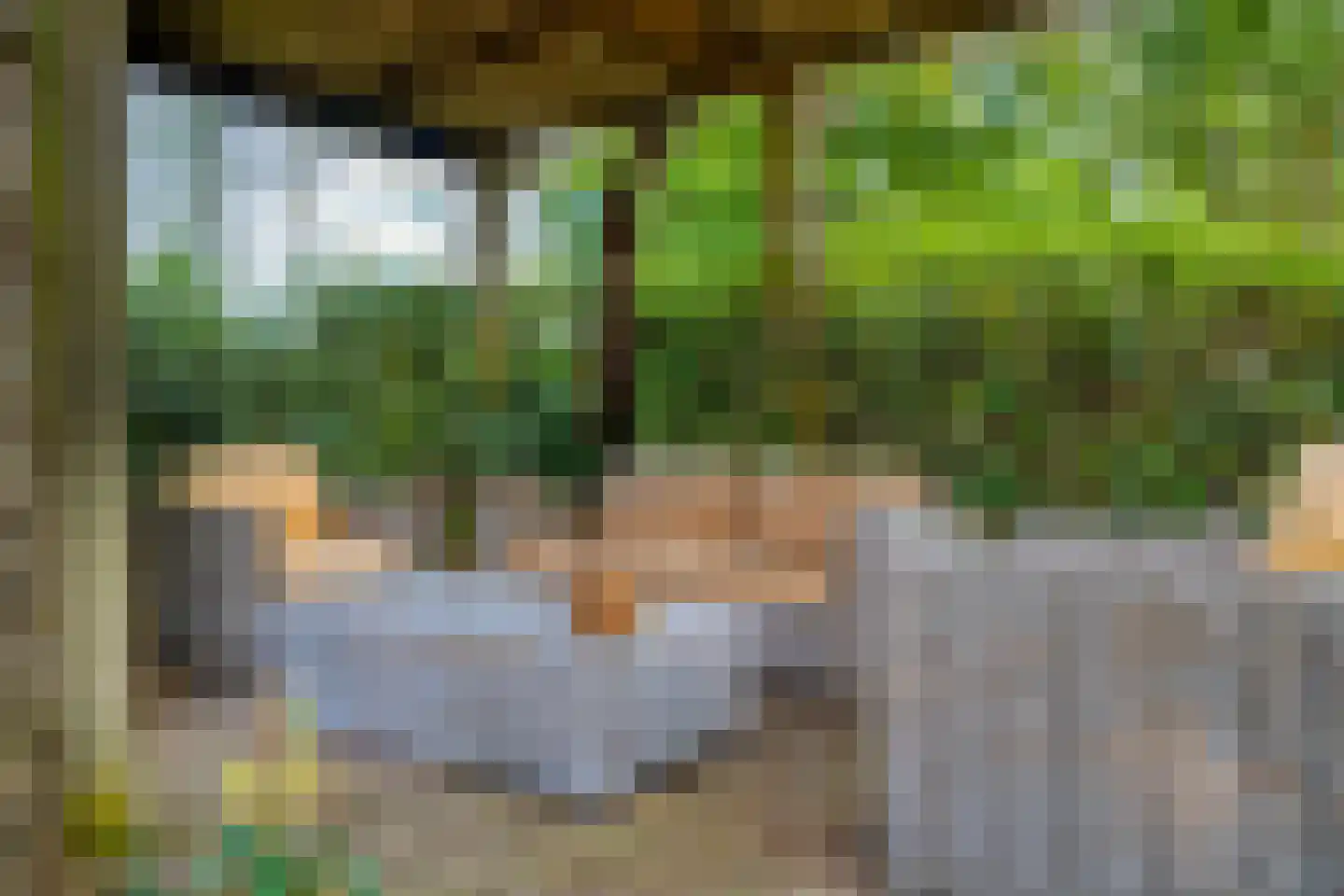 Westeinde 51 Dwingeloo thumbnail 59