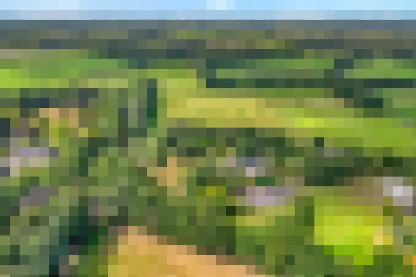 Westeinde 51 Dwingeloo thumbnail 6
