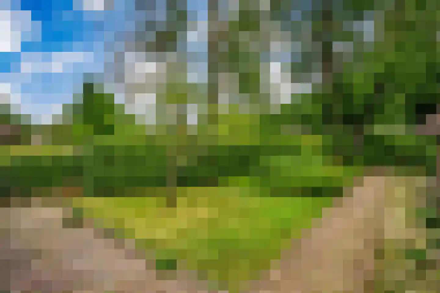 Westeinde 51 Dwingeloo thumbnail 62