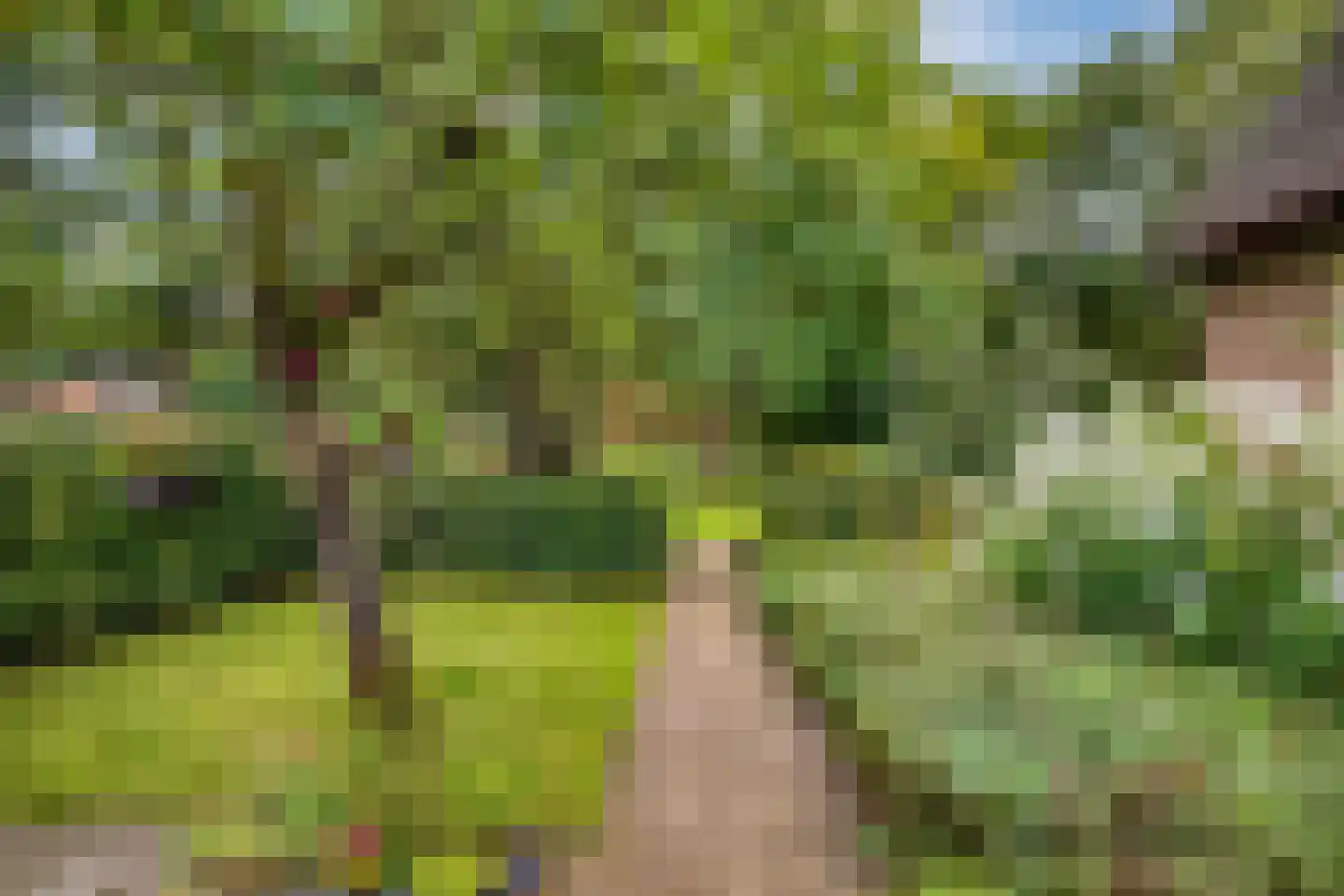 Westeinde 51 Dwingeloo thumbnail 63