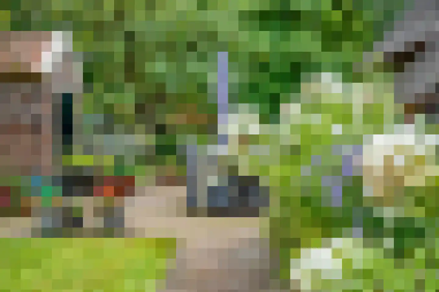 Westeinde 51 Dwingeloo thumbnail 64