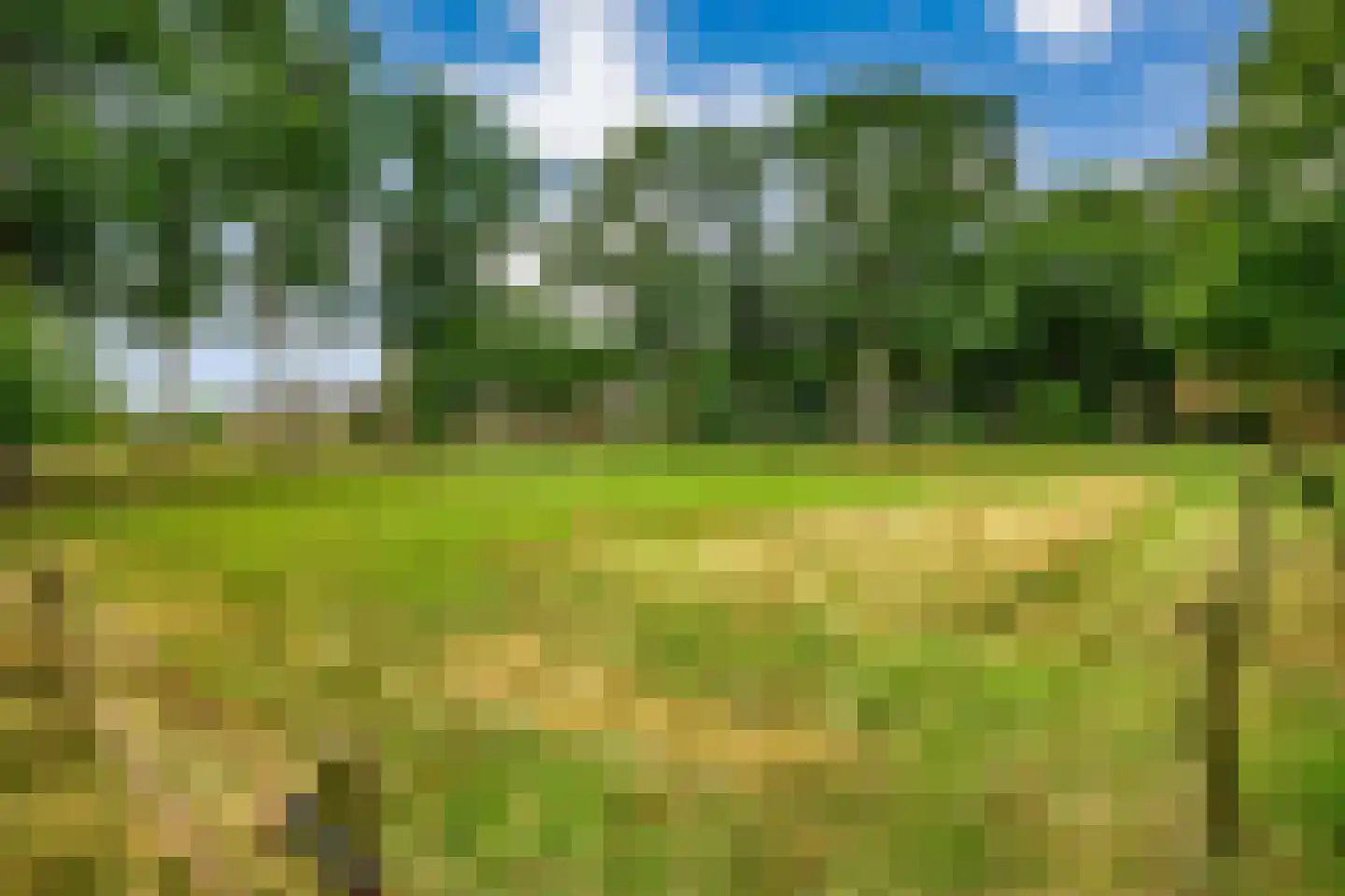 Westeinde 51 Dwingeloo thumbnail 66