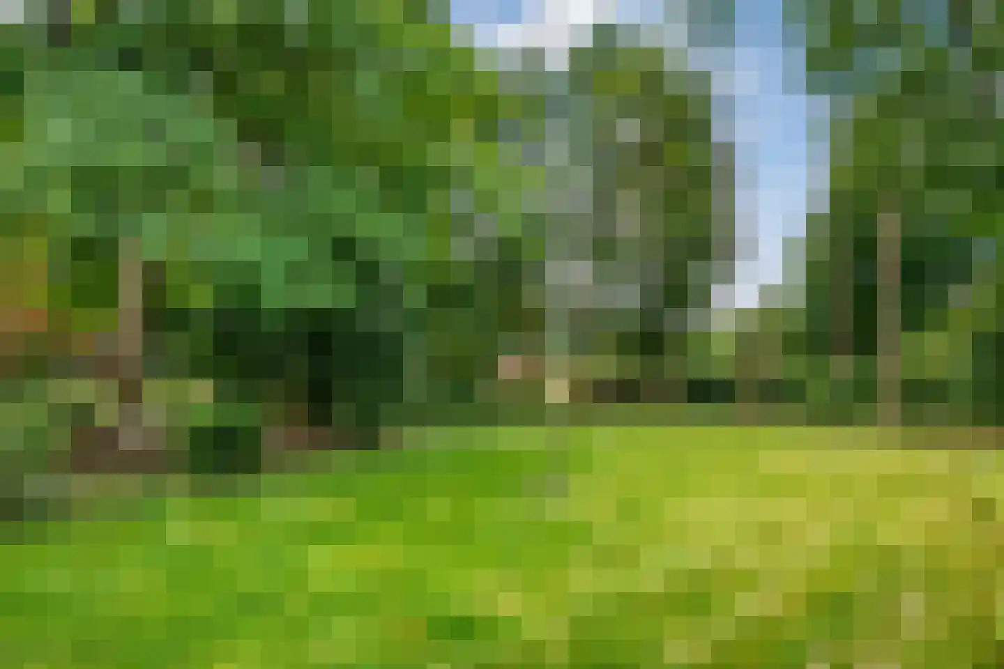 Westeinde 51 Dwingeloo thumbnail 67