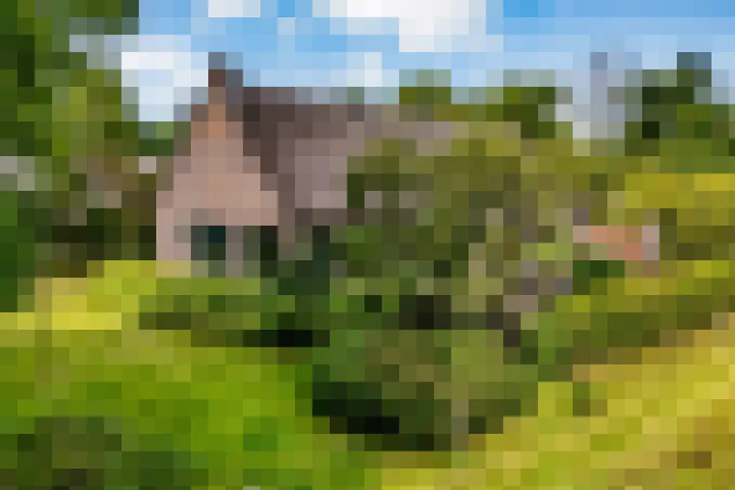 Westeinde 51 Dwingeloo thumbnail 8