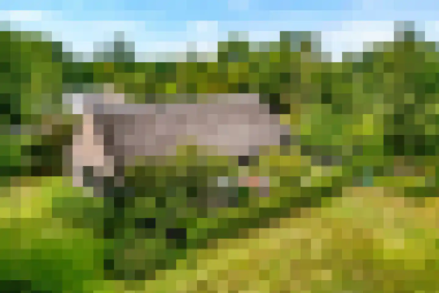 Westeinde 51 Dwingeloo thumbnail 9