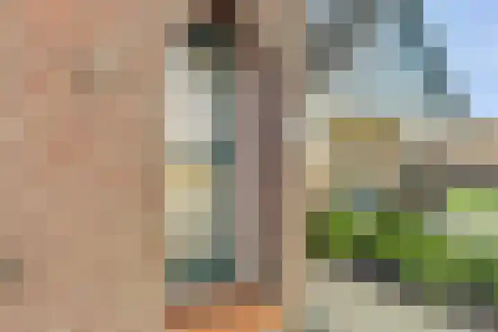 Westeinde 55 Waarder thumbnail 14
