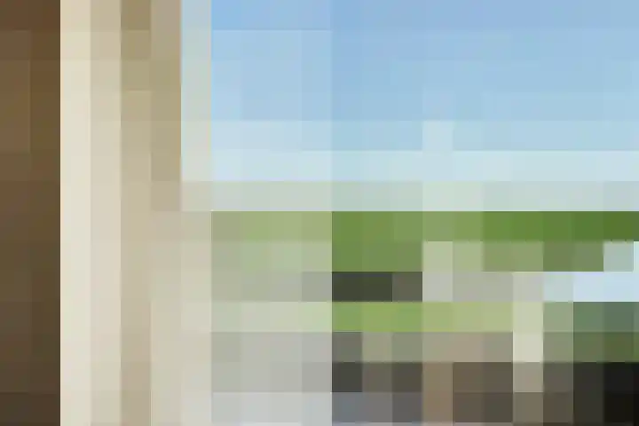 Westeinde 55 Waarder thumbnail 30