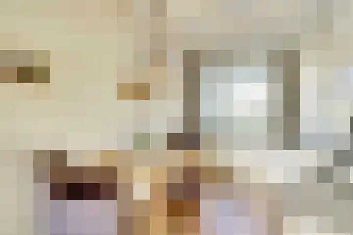 Westeinde 55 Waarder thumbnail 34