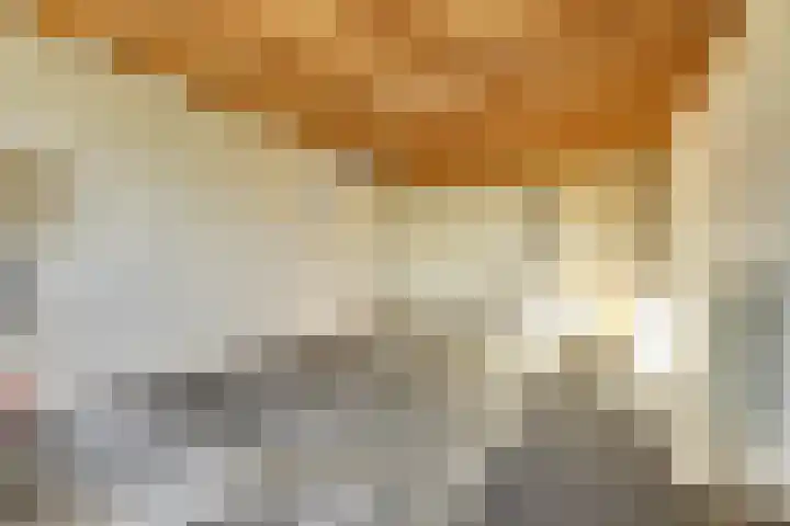 Westeinde 55 Waarder thumbnail 36