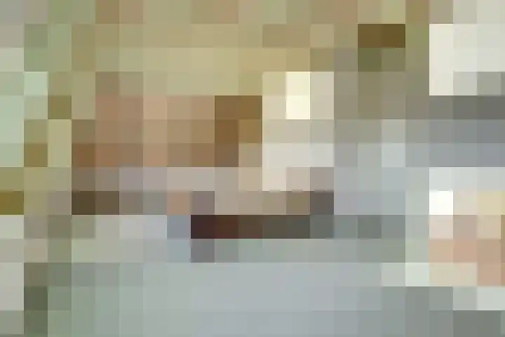 Westeinde 55 Waarder thumbnail 44