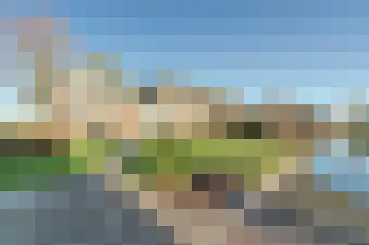 Westeinde 55 Waarder thumbnail 56