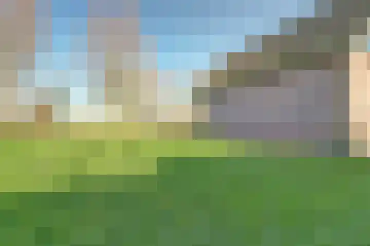 Westeinde 55 Waarder thumbnail 63