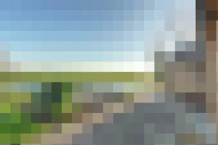 Westeinde 55 Waarder thumbnail 65