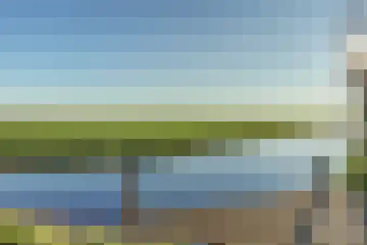 Westeinde 55 Waarder thumbnail 67