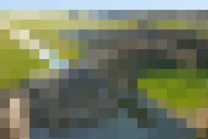 Westeinde 55 Waarder thumbnail 76