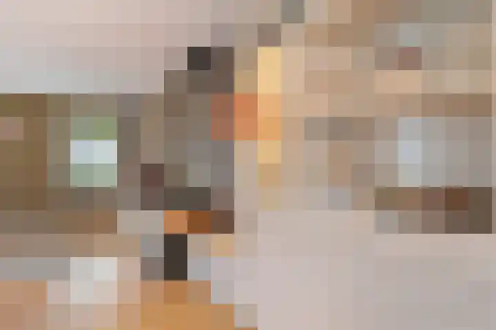 Westeinde 65 Zwartsluis thumbnail 16