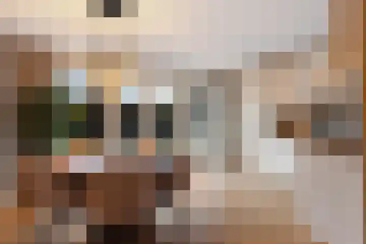 Westeinde 65 Zwartsluis thumbnail 17