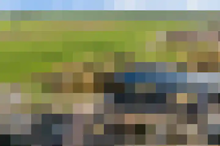 Westeinde 65 Zwartsluis thumbnail 23