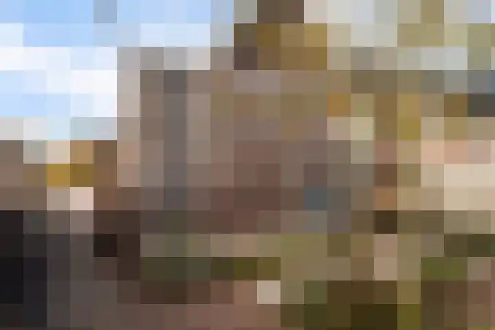 Westeinde 65 Zwartsluis thumbnail 25
