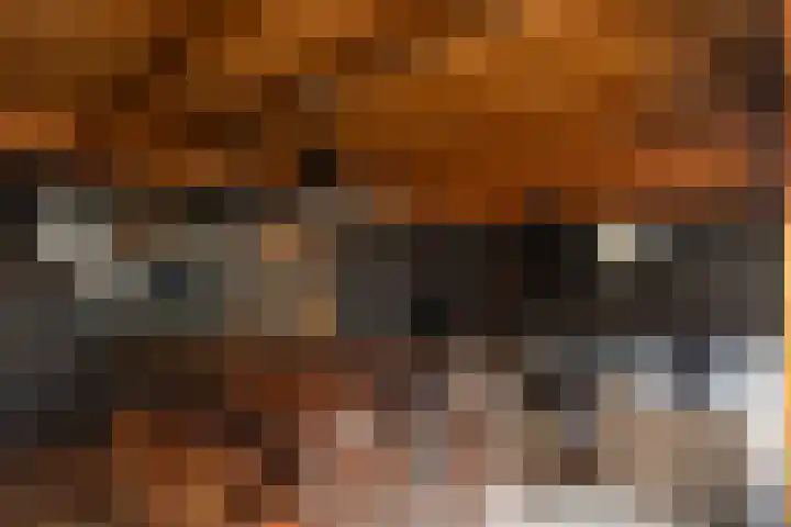 Westeinde 65 Zwartsluis thumbnail 27