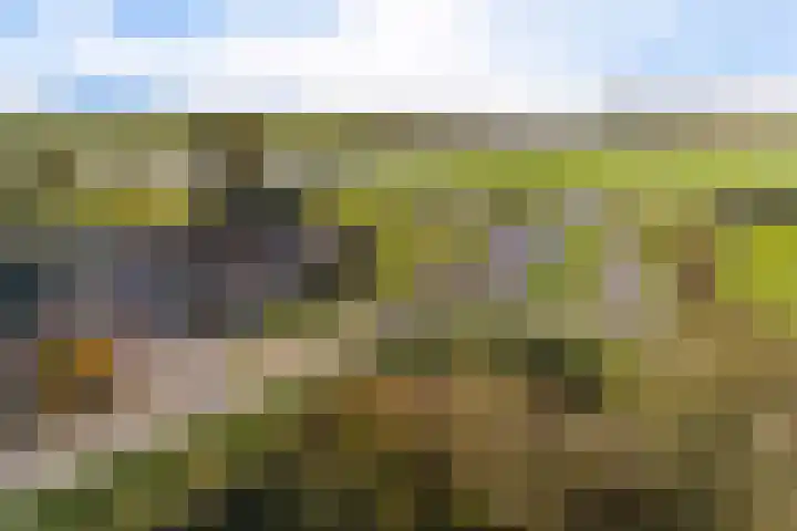 Westeinde 65 Zwartsluis thumbnail 28