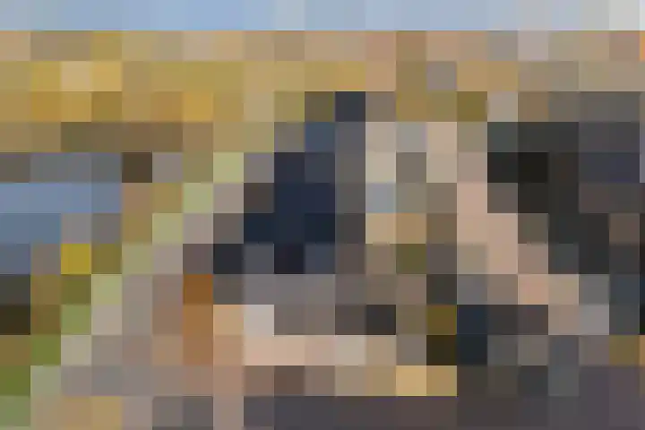 Westeinde 65 Zwartsluis thumbnail 7