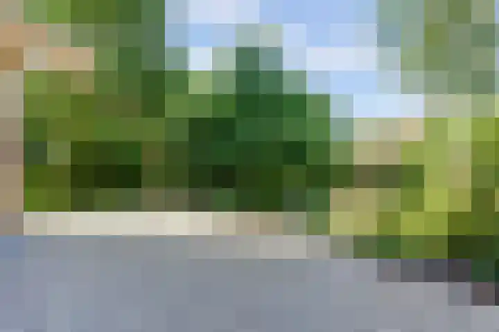 Westeinde 7 Bodegraven thumbnail 39