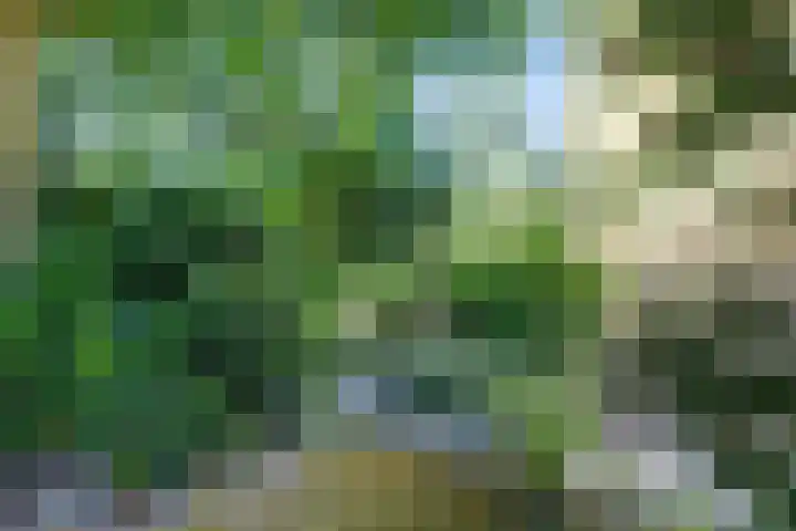 Westeinde 7 Bodegraven thumbnail 40