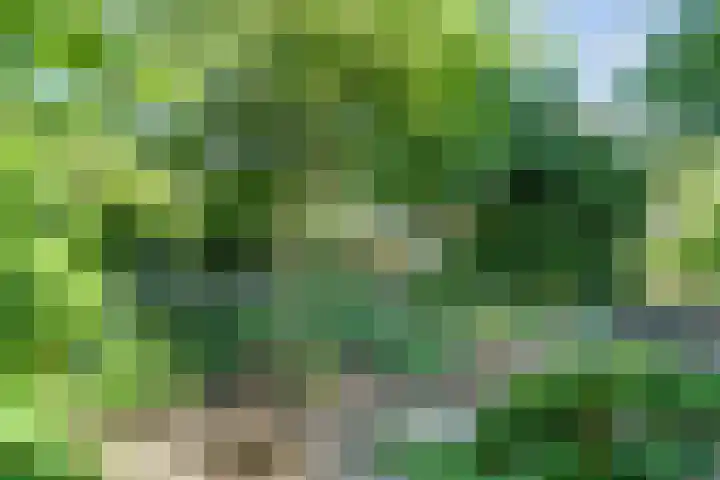 Westeinde 7 Bodegraven thumbnail 43