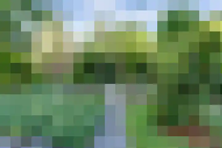 Westeinde 7 Bodegraven thumbnail 45