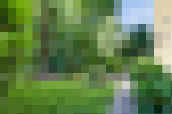 Westeinde 7 Bodegraven thumbnail 46