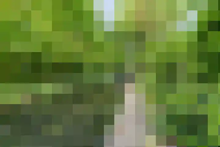 Westeinde 7 Bodegraven thumbnail 48