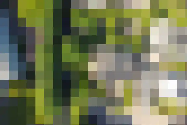 Westeinde 7 Bodegraven thumbnail 55