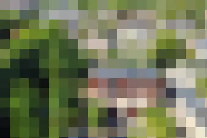 Westeinde 7 Bodegraven thumbnail 56