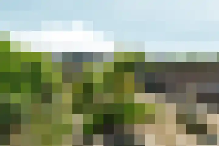 Westeinde 72 Zevenaar thumbnail 28