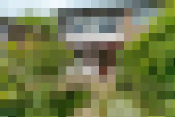 Westeinde 72 Zevenaar thumbnail 31