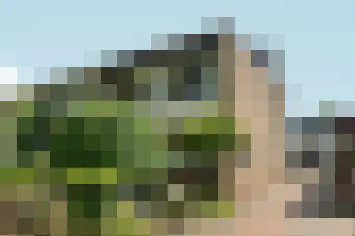 Westeinde 72 Zevenaar thumbnail 40