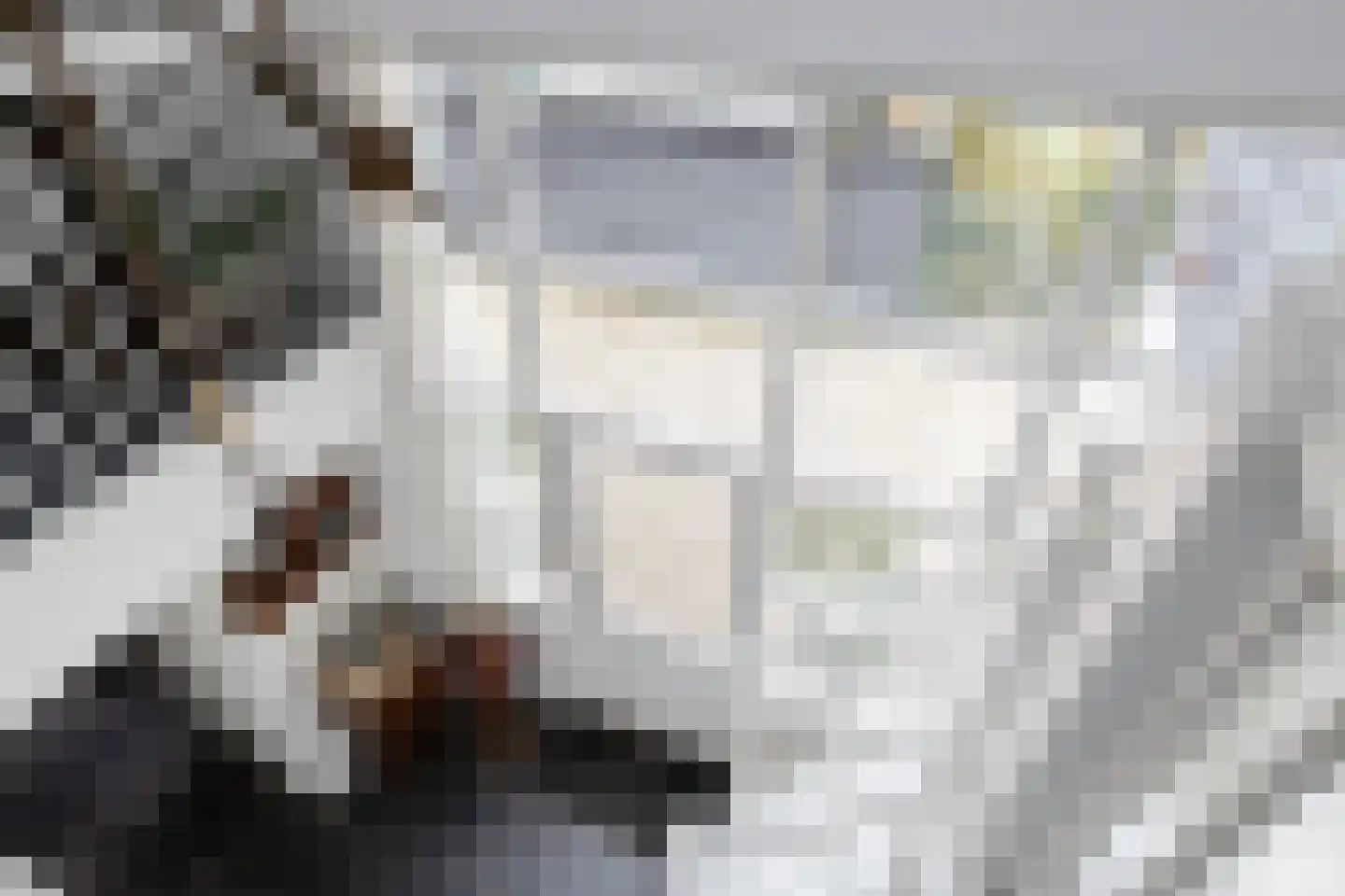 Westeinde 8 Wijngaarden thumbnail 10