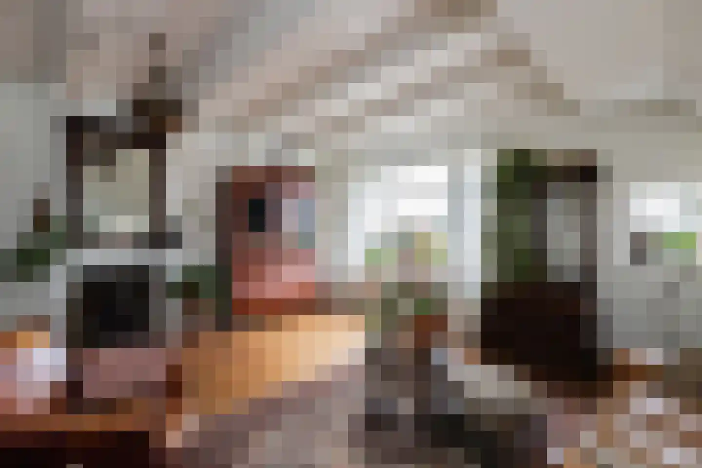 Westeinde 8 Wijngaarden thumbnail 14
