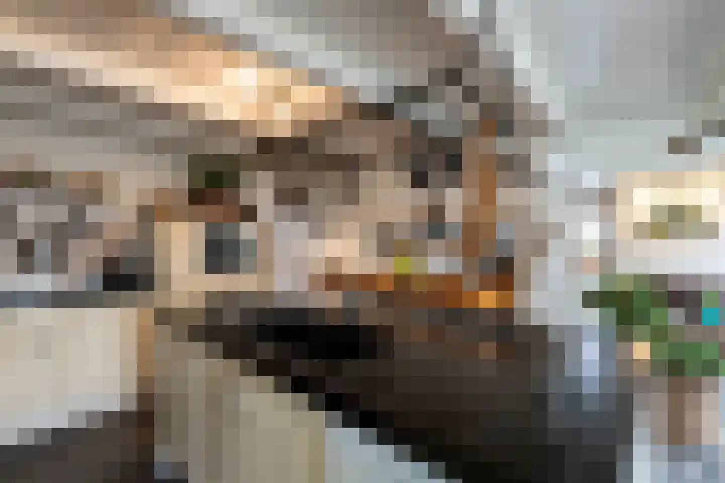 Westeinde 8 Wijngaarden thumbnail 22