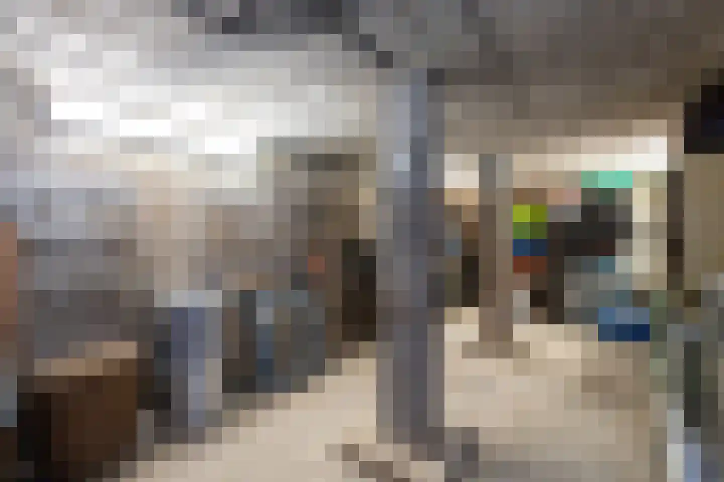 Westeinde 8 Wijngaarden thumbnail 37