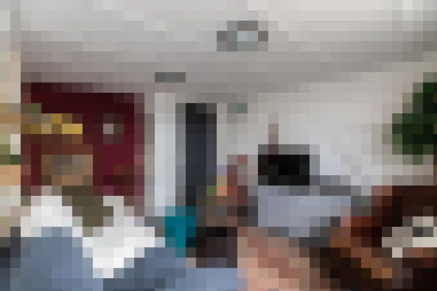 Westeinde 8 Wijngaarden thumbnail 42