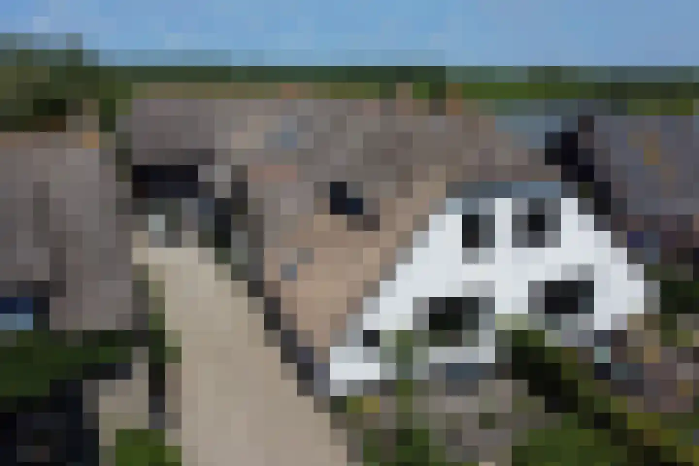 Westeinde 8 Wijngaarden thumbnail 5
