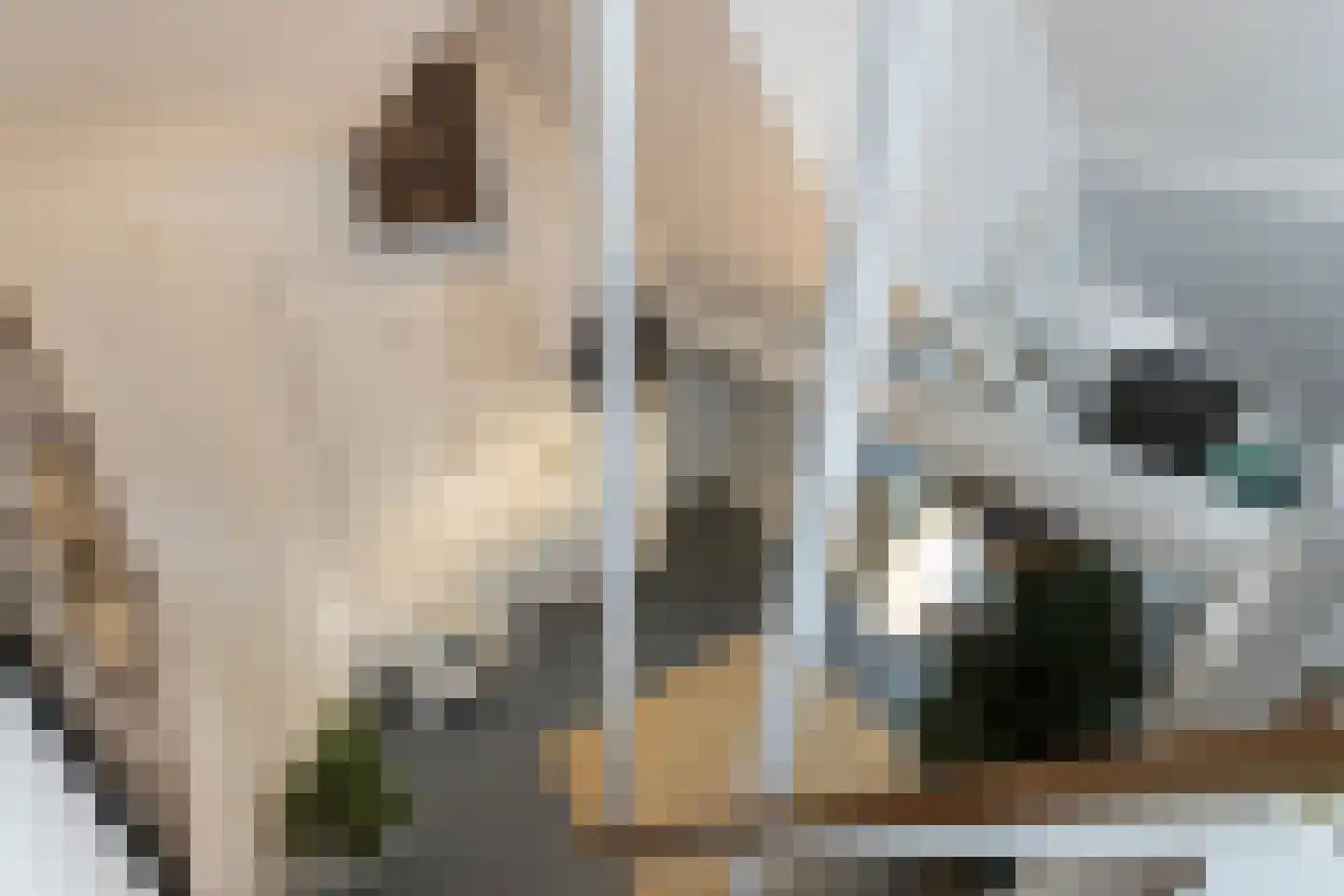 Westeinde 8 Wijngaarden thumbnail 58