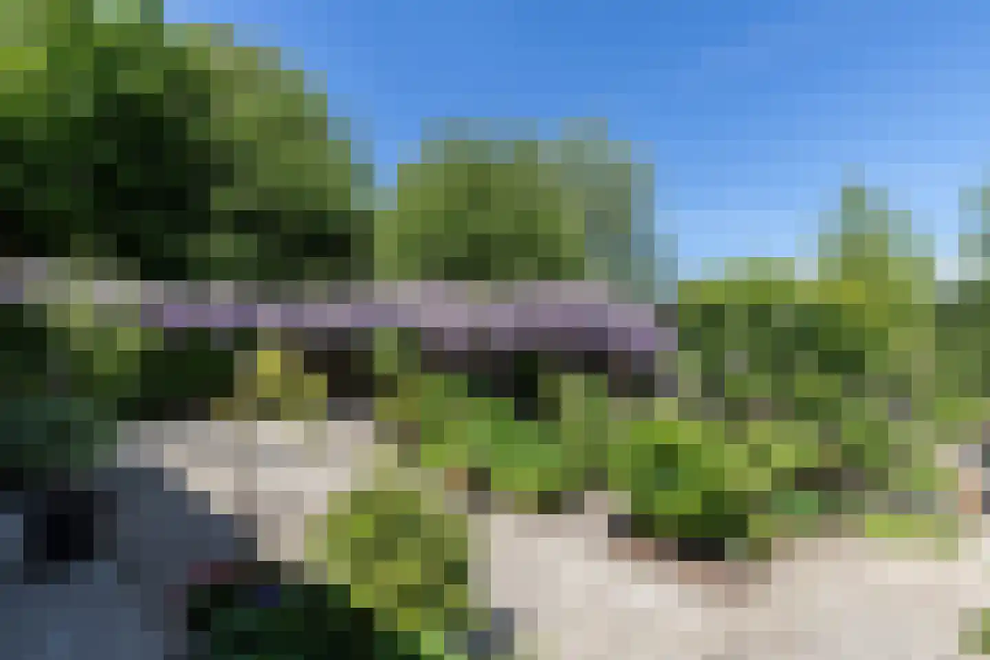 Westeinde 8 Wijngaarden thumbnail 67