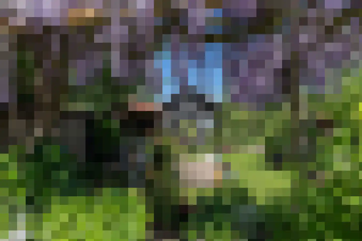 Westeinde 8 Wijngaarden thumbnail 68