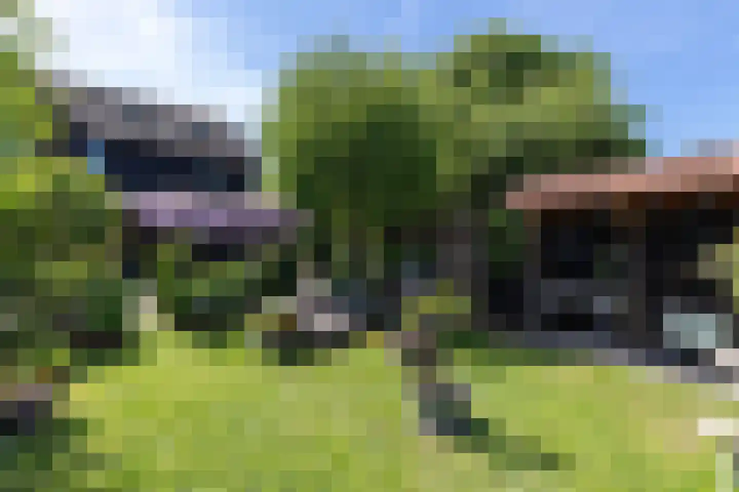 Westeinde 8 Wijngaarden thumbnail 70