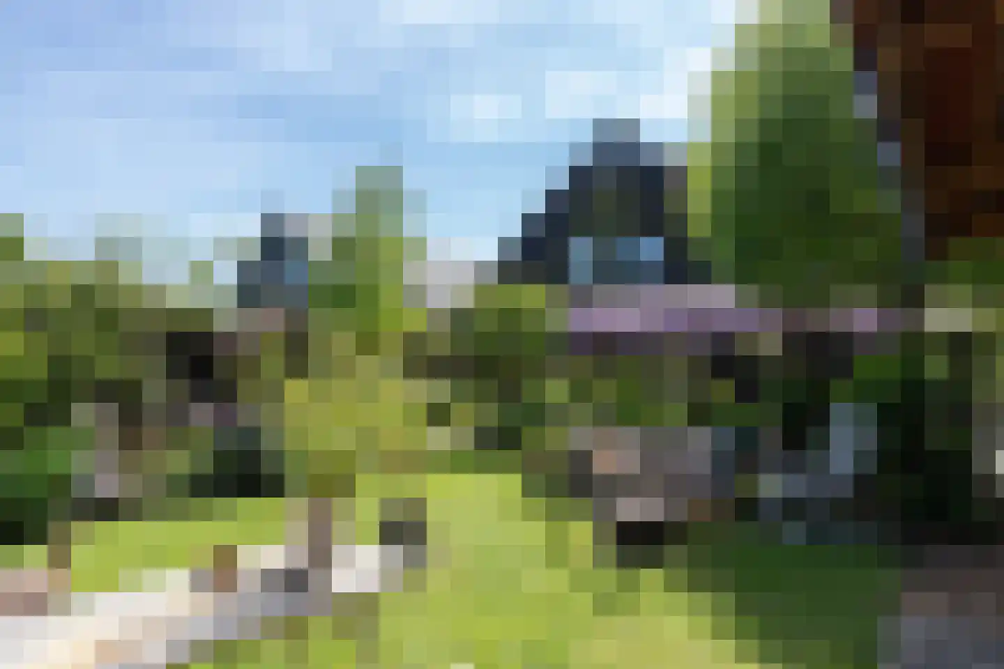 Westeinde 8 Wijngaarden thumbnail 71