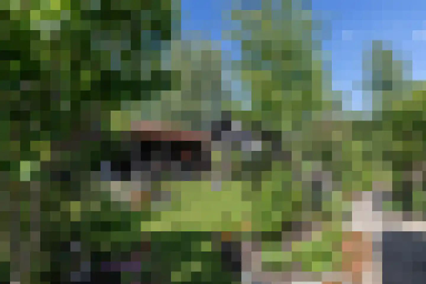 Westeinde 8 Wijngaarden thumbnail 72