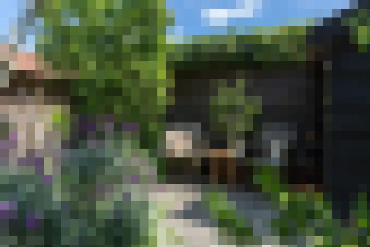 Westeinde 8 Wijngaarden thumbnail 74